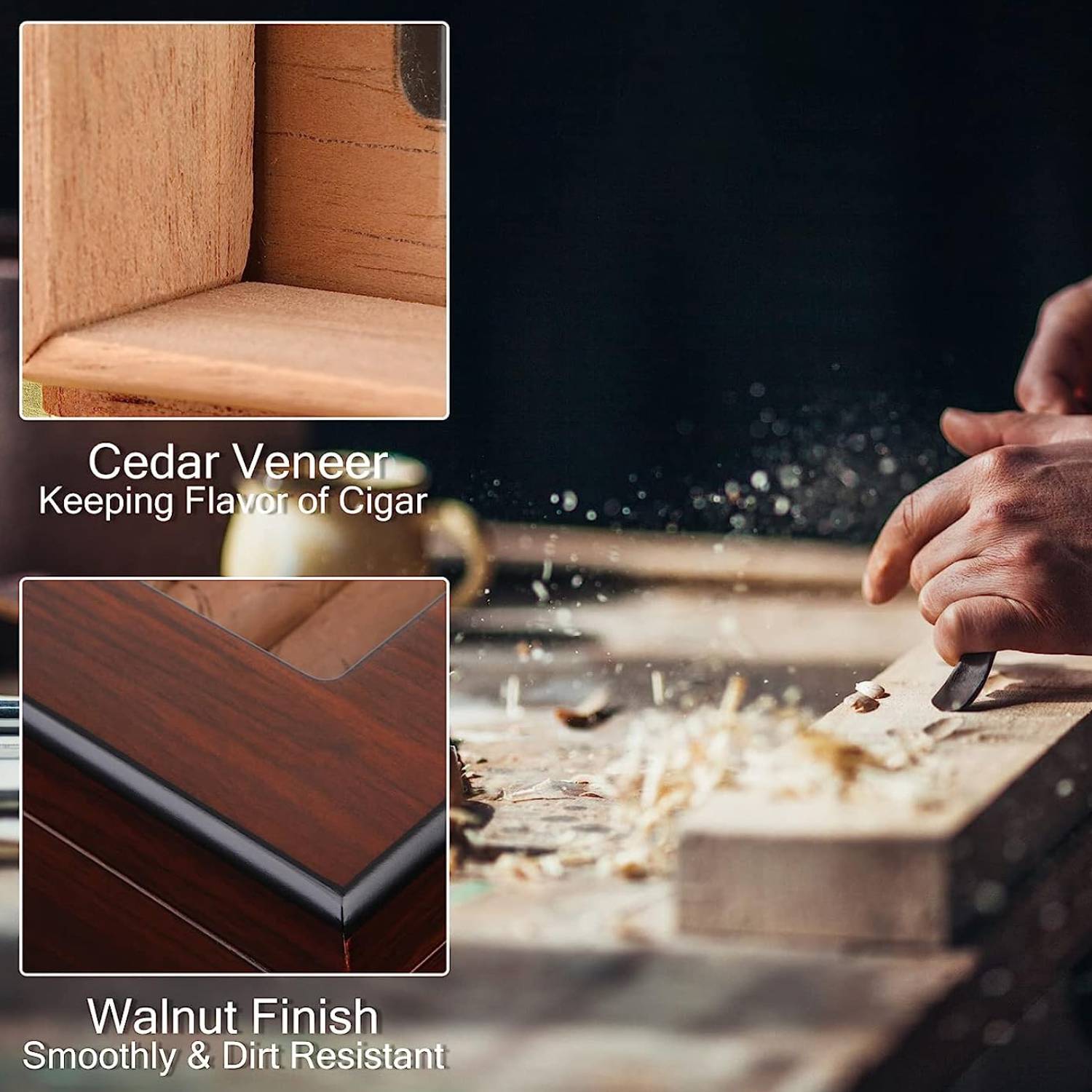 Cigar Humidor: image 2