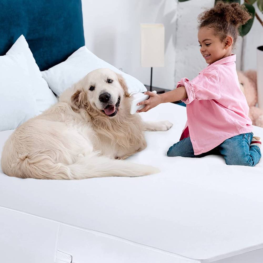 Mattress Topper - Colour: Not specified / Size: SINGLE (99cm X 190cm X 36cm): image 1