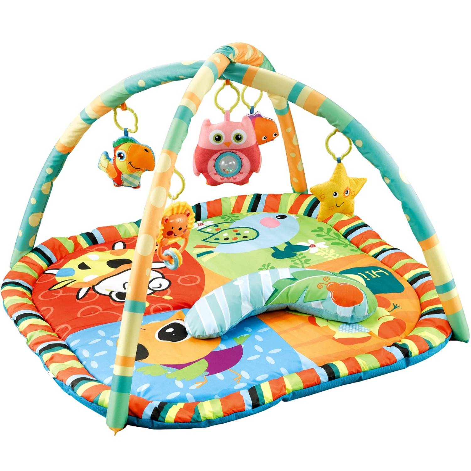 Baby Playmat Gym