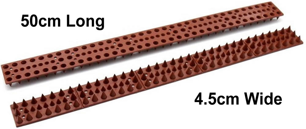 Fence Spikes: image 2