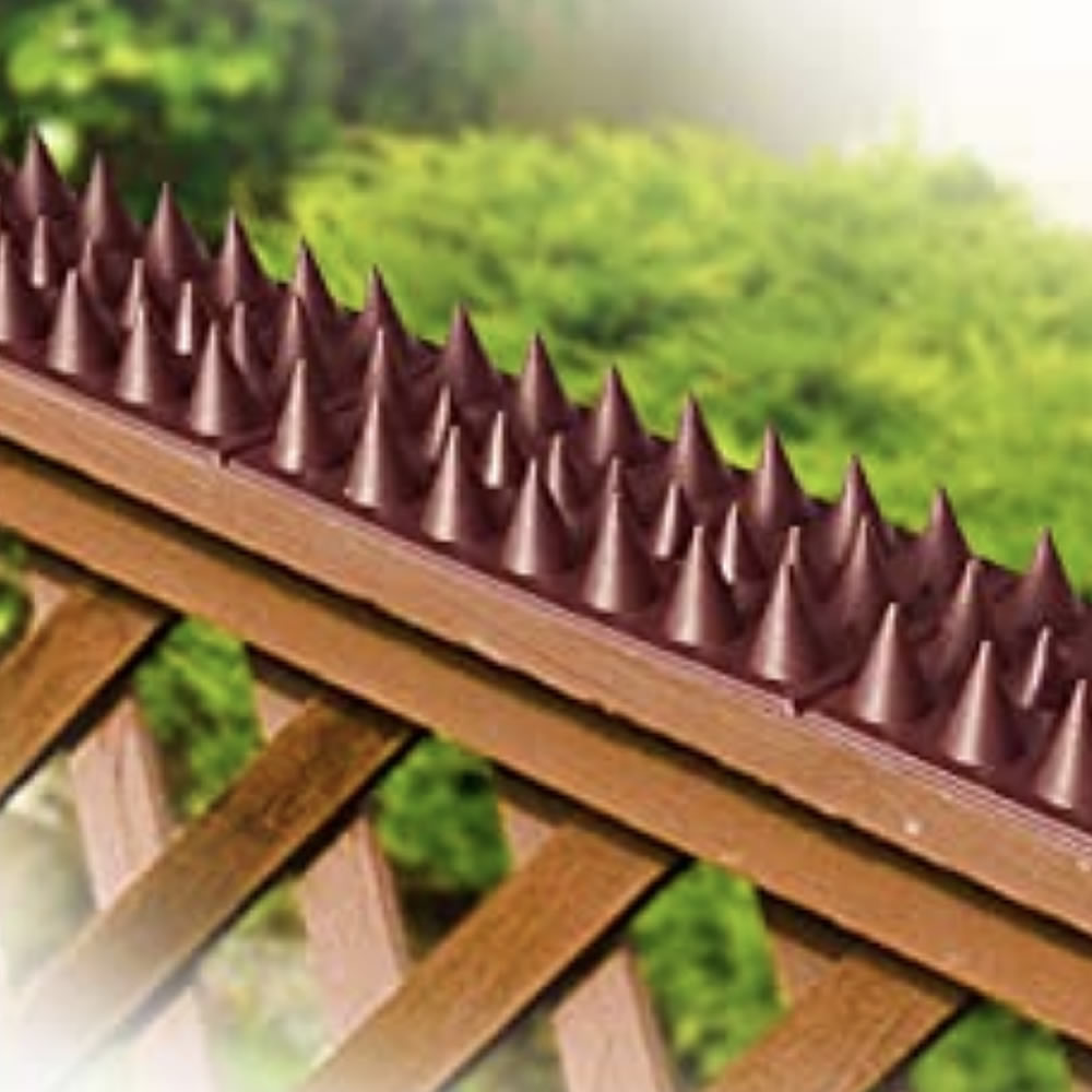 Squirrel Spikes: image 2