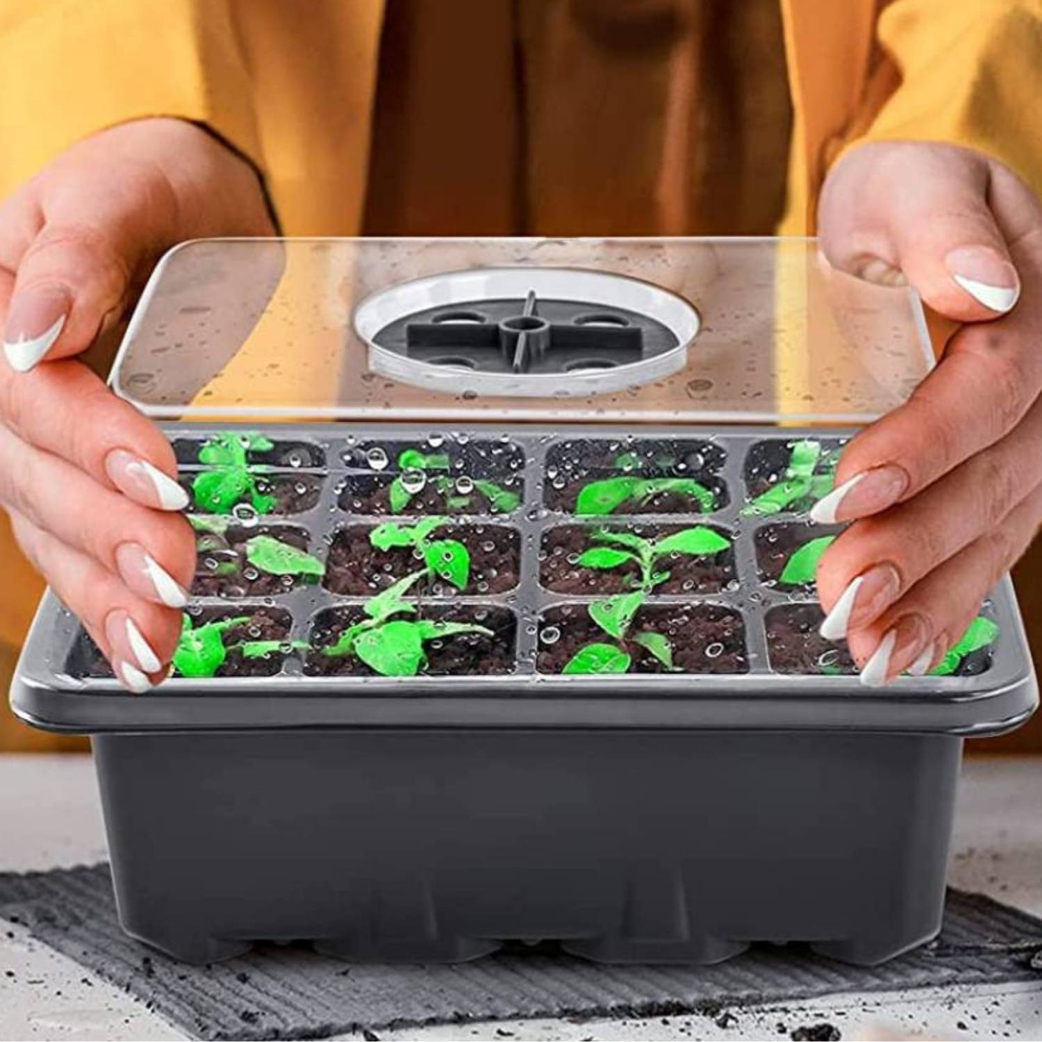 Starter Trays For Seeds: image 5