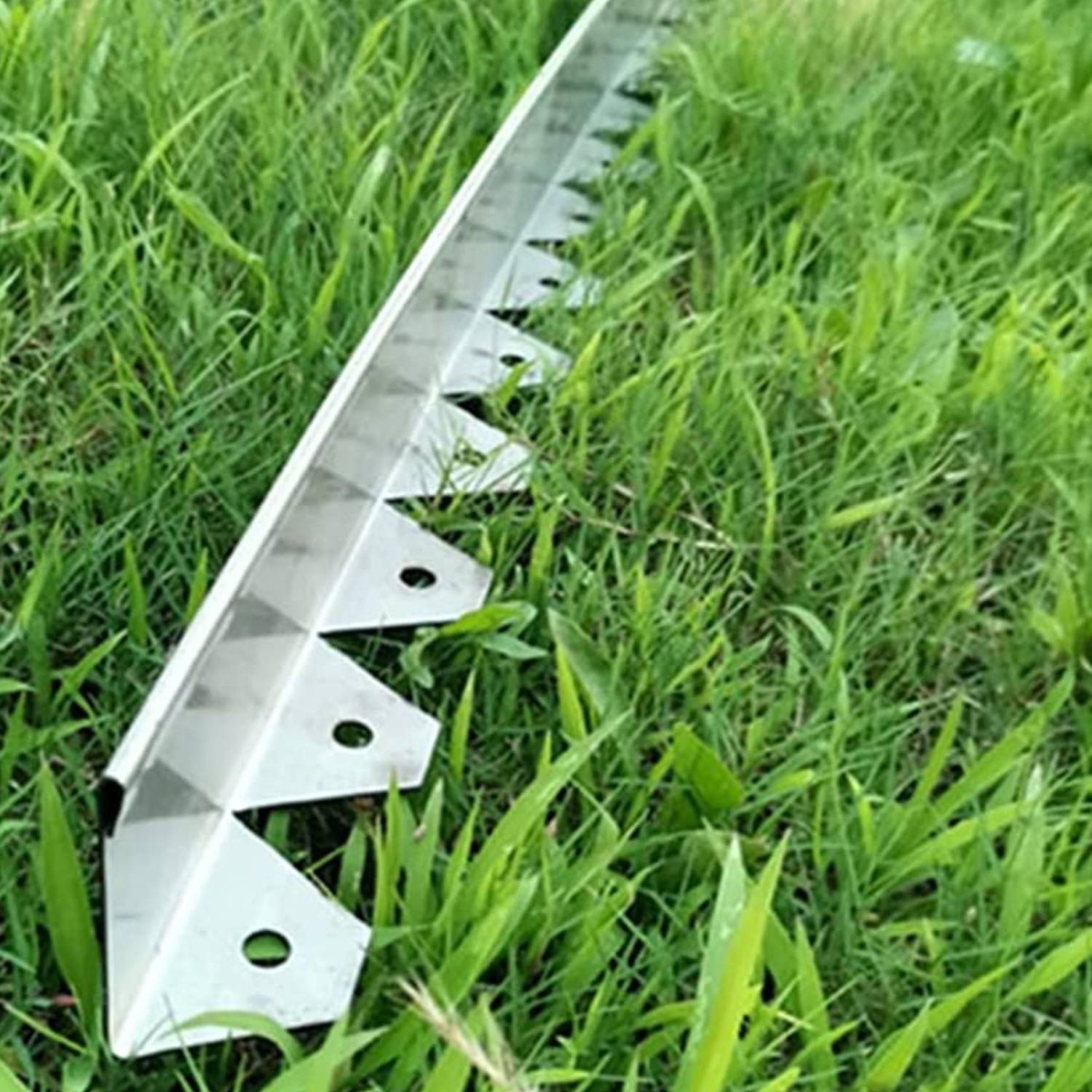 Stainless Steel Garden Edge - Face Height: 50mm Face Height (Per M): image 4