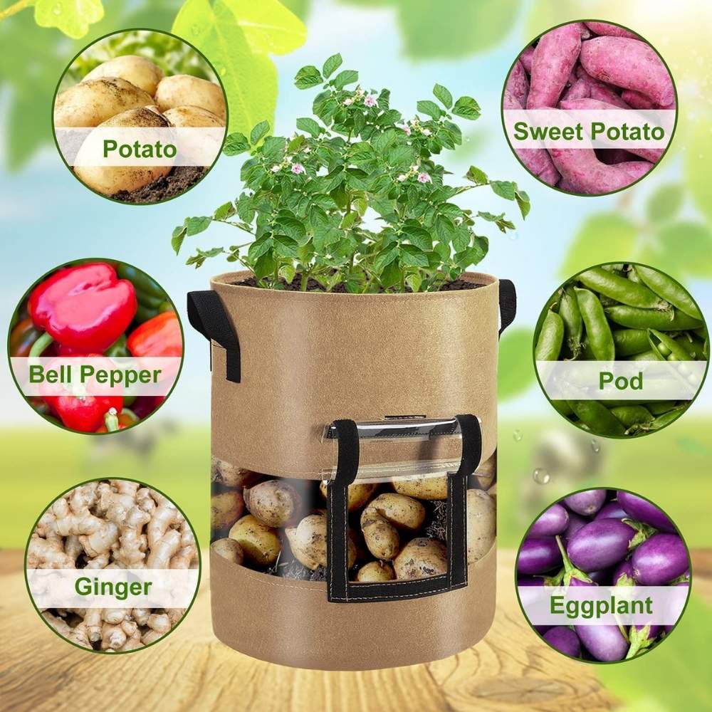 best grow potatoes planter