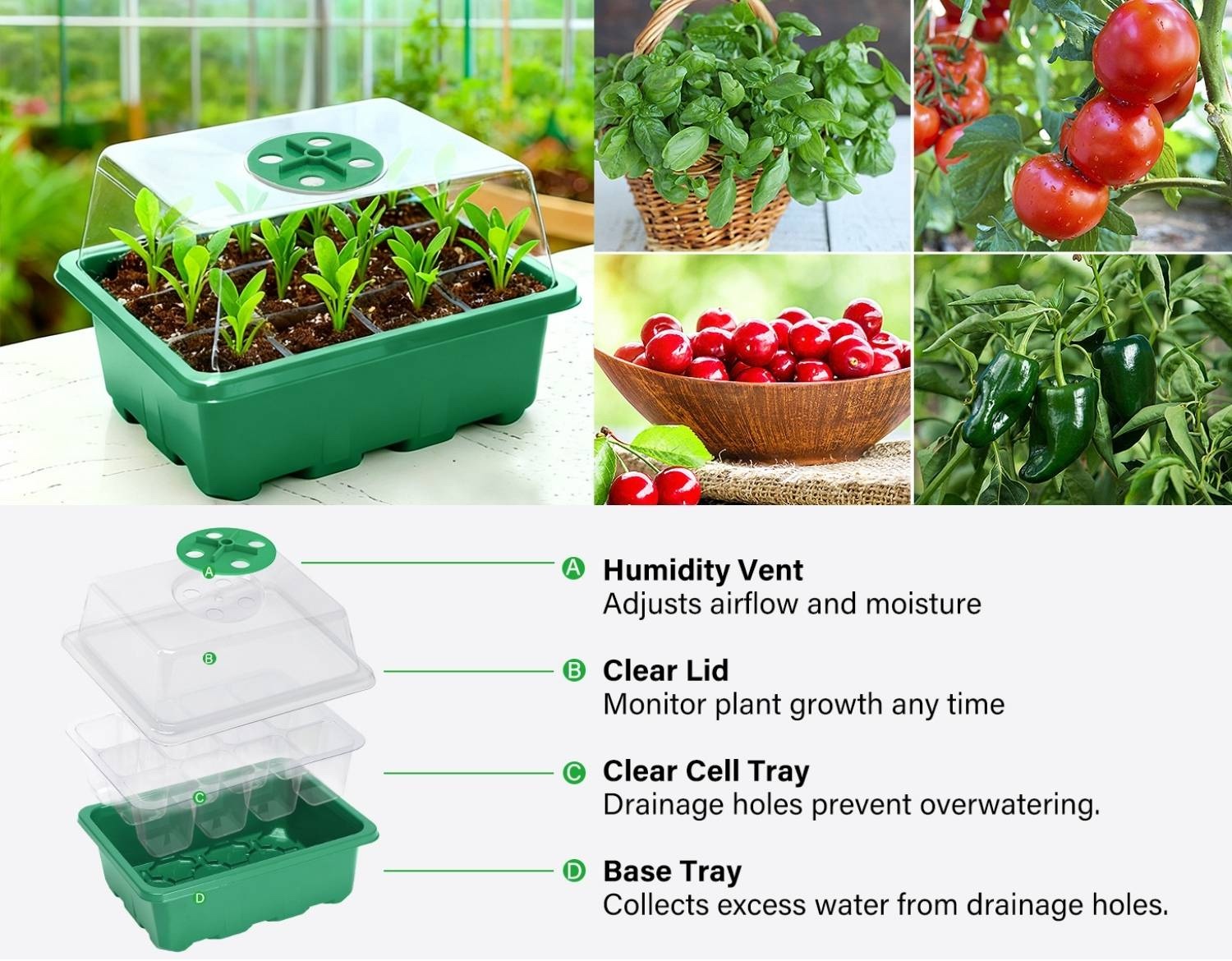 best seedling trays with dome 